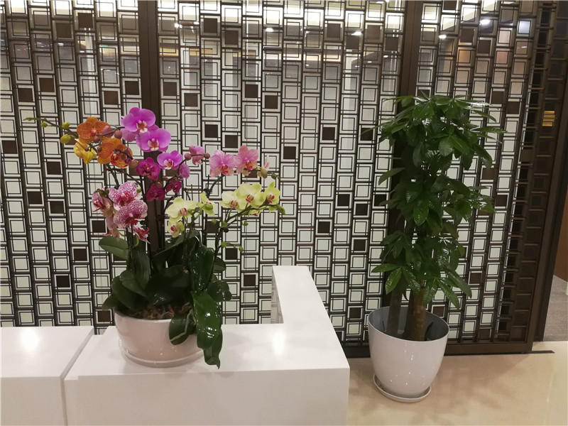 案例展现