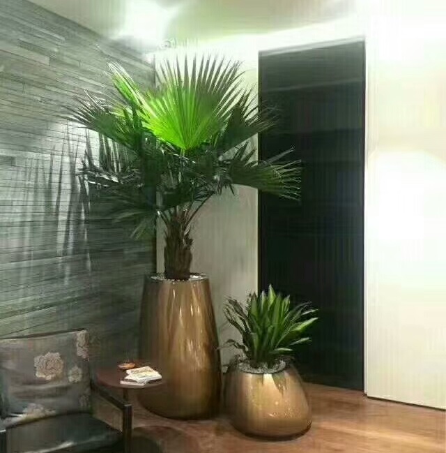绿植租摆