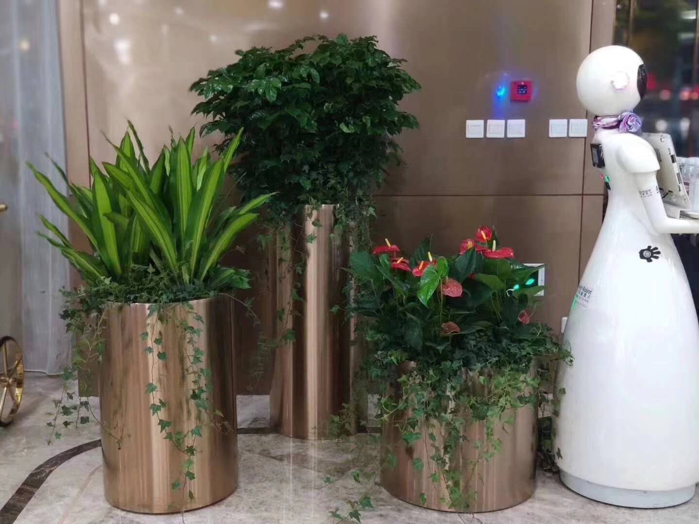 绿植租摆