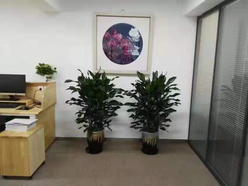 玄铁